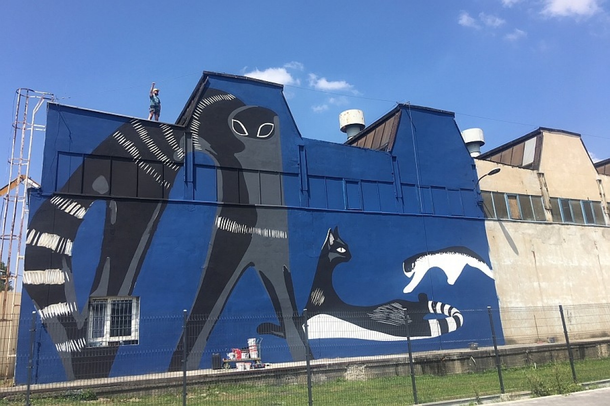 Katowice mural z kotami i panterą w Fabryce Porcelany