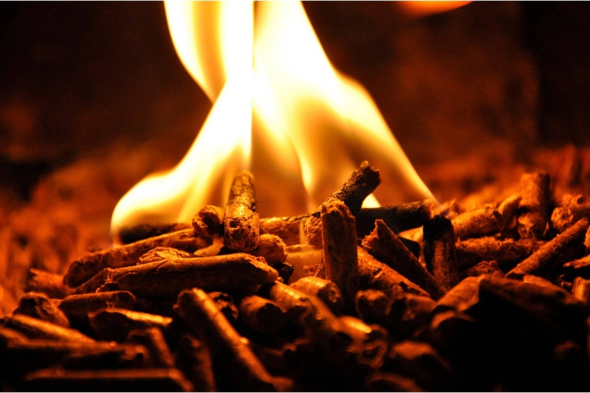 1fotglowneogien i pellet