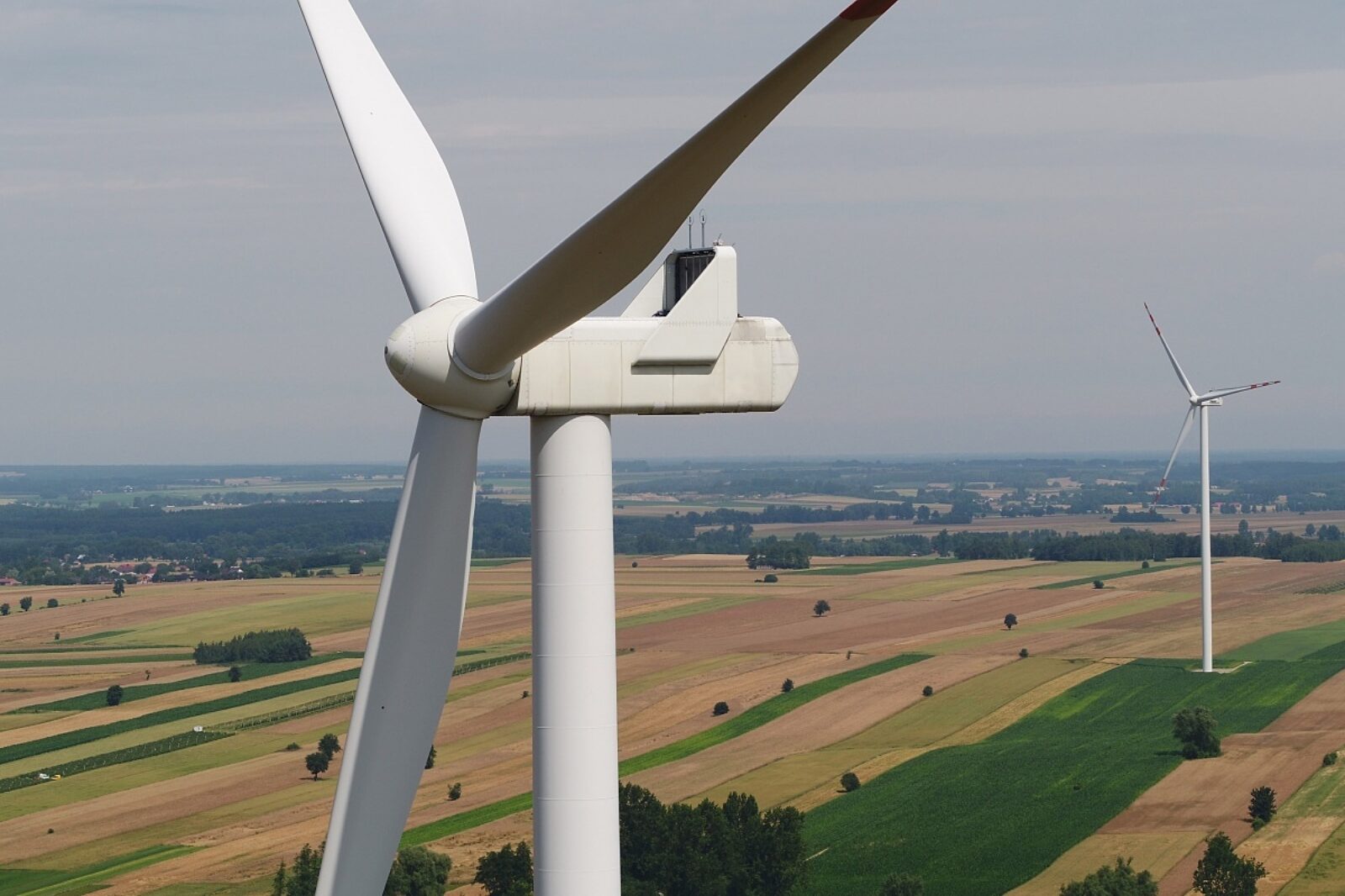 05 farma skoczyklody pge