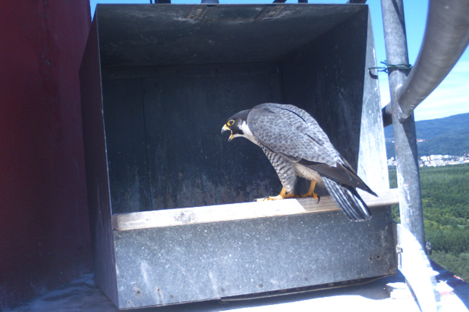 Sokol rafineria litvinov unipetrol cz