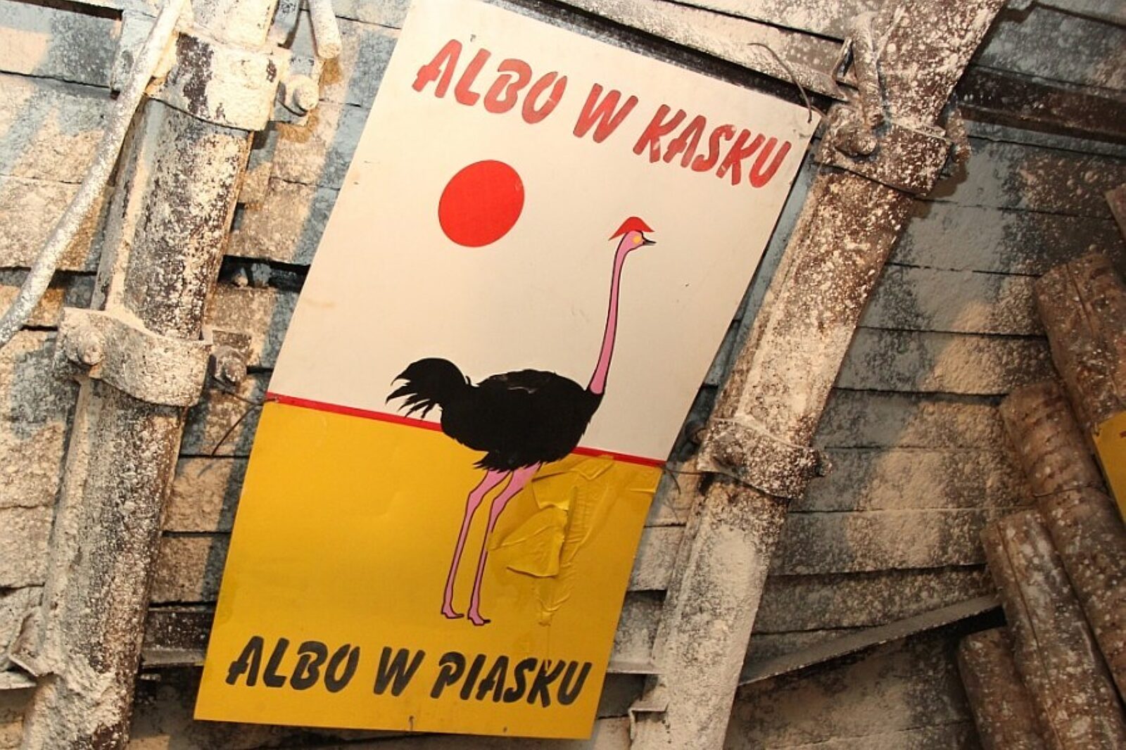 Eli w hałerze, eli w piosku