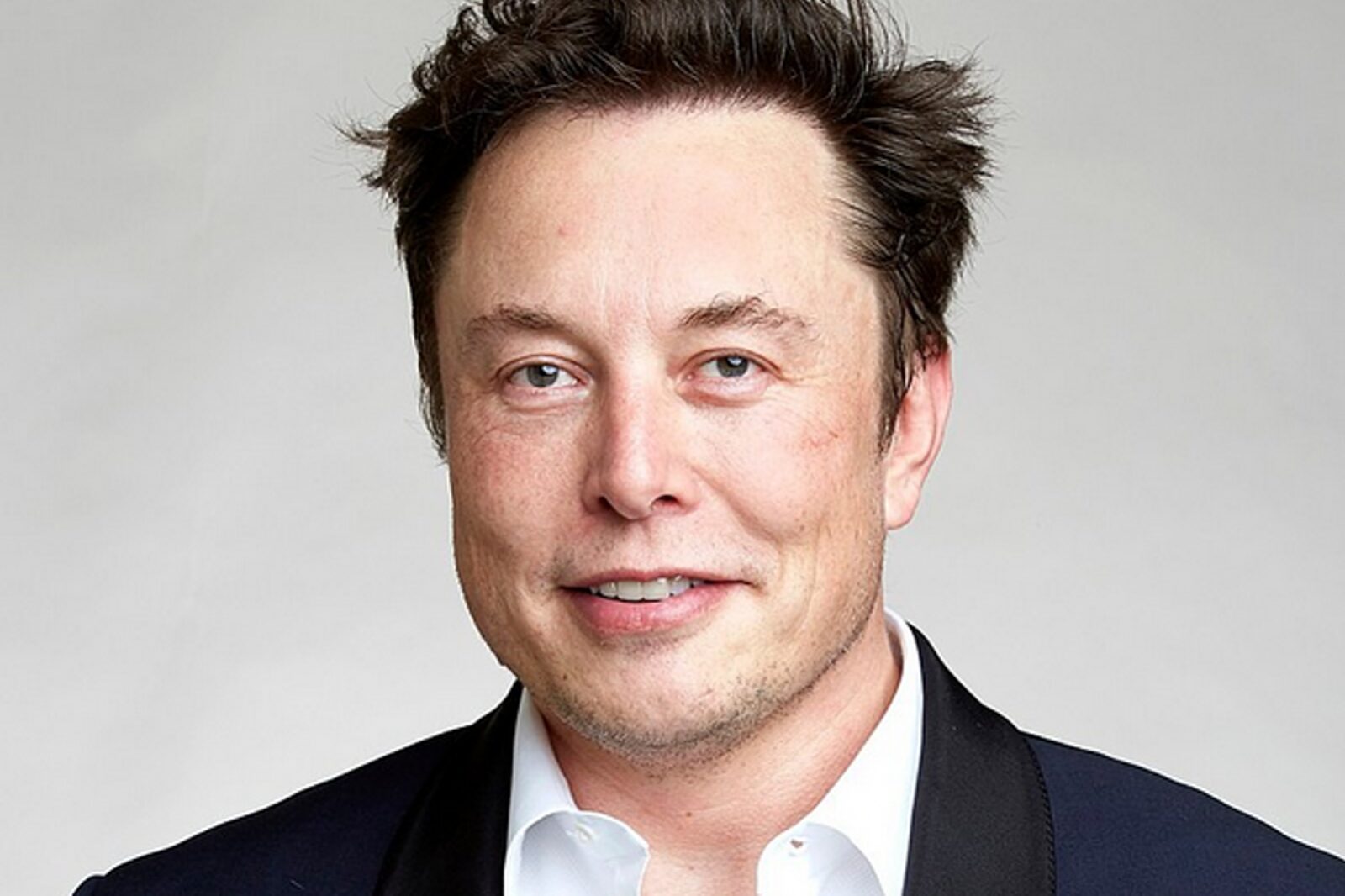 Musk wiki