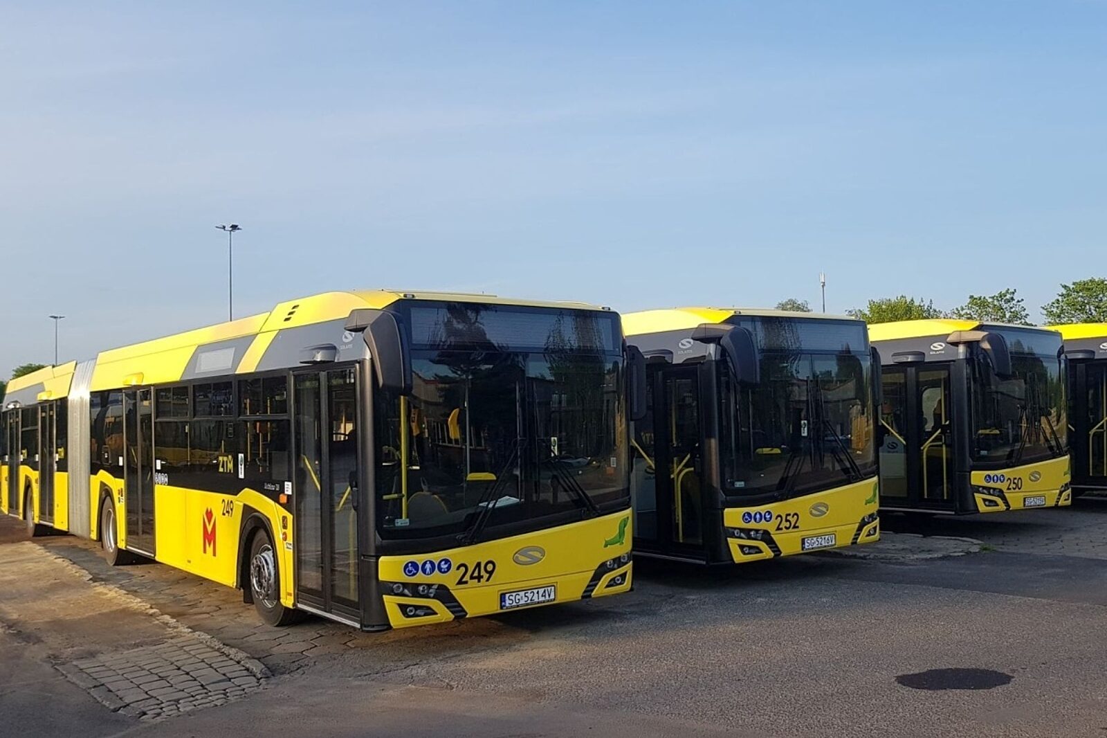 59869779 334161120632248 4729771393997078528 n