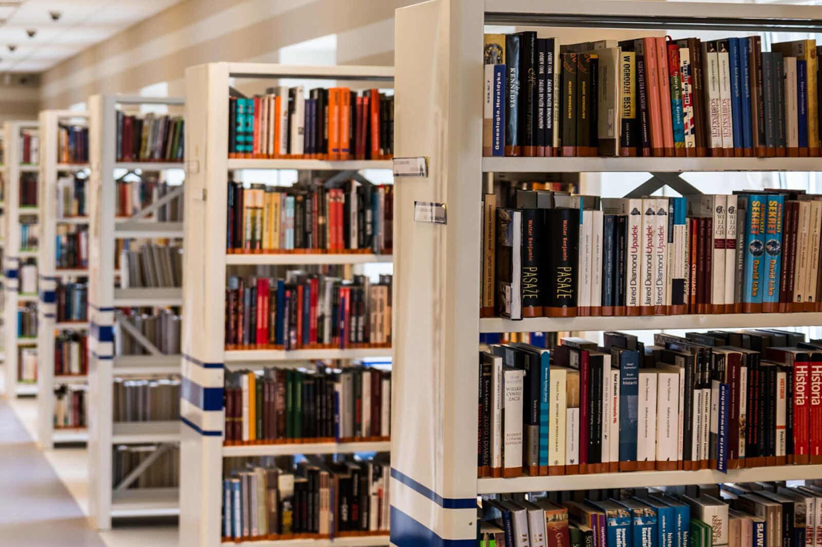 Wbo projekt bez nazwy