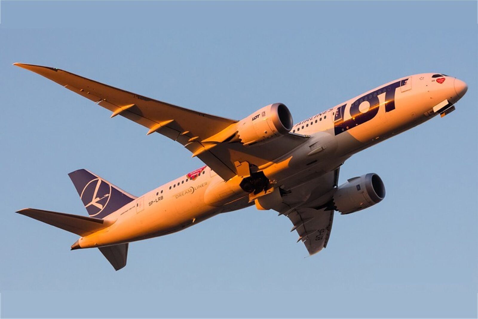 Adammyszkowski b787 8 lot