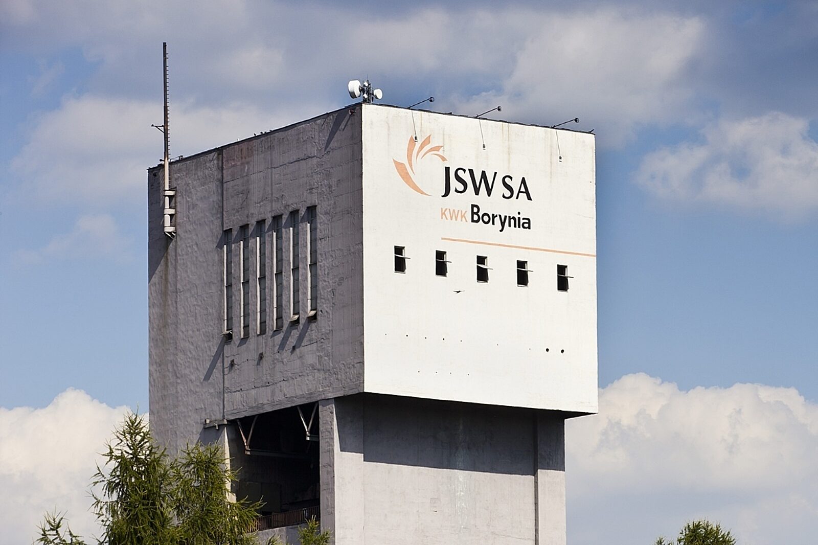 Borynia agnieszka materna