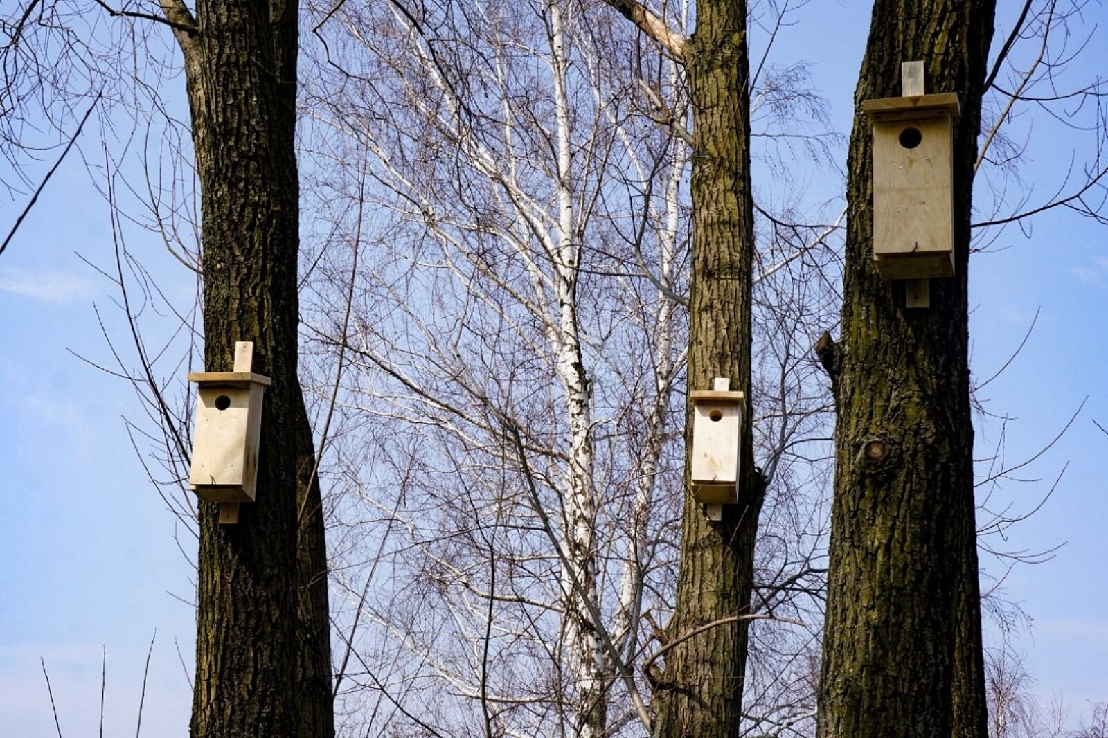 Budki legowe pge giek 2