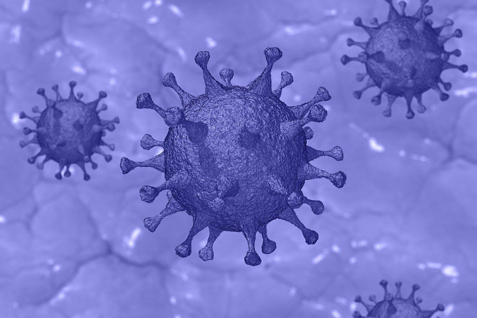 Coronavirus 4972480 1281