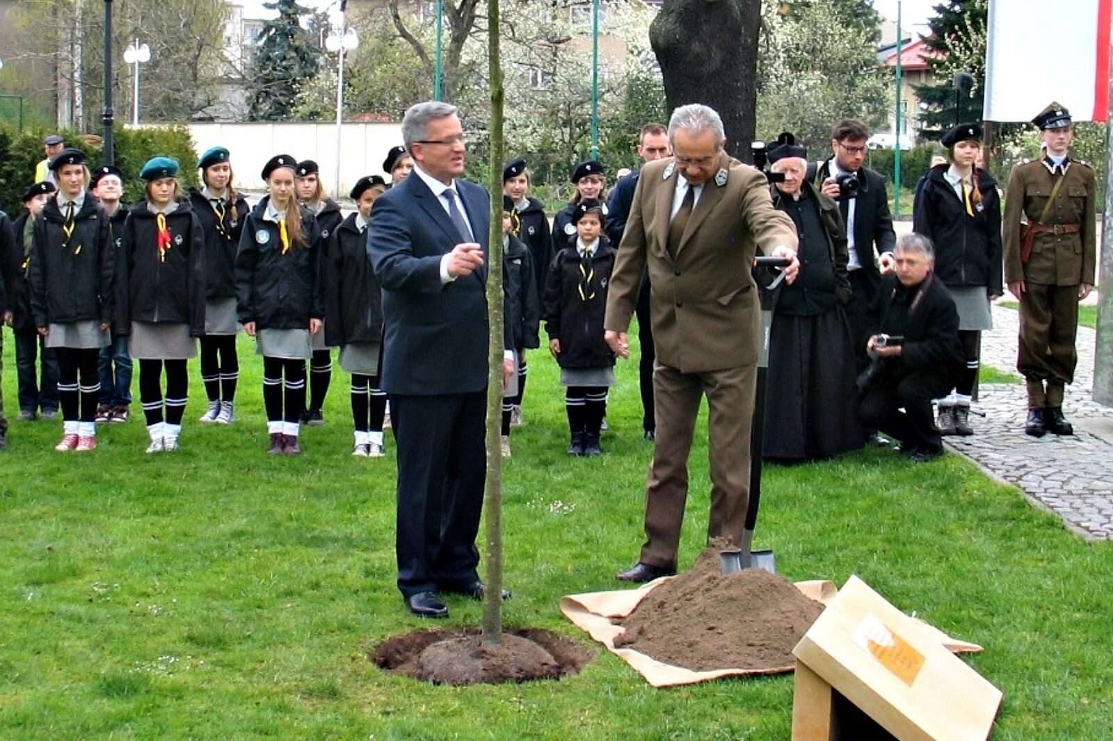 Dab wolnosci wadowice lasy gov pl