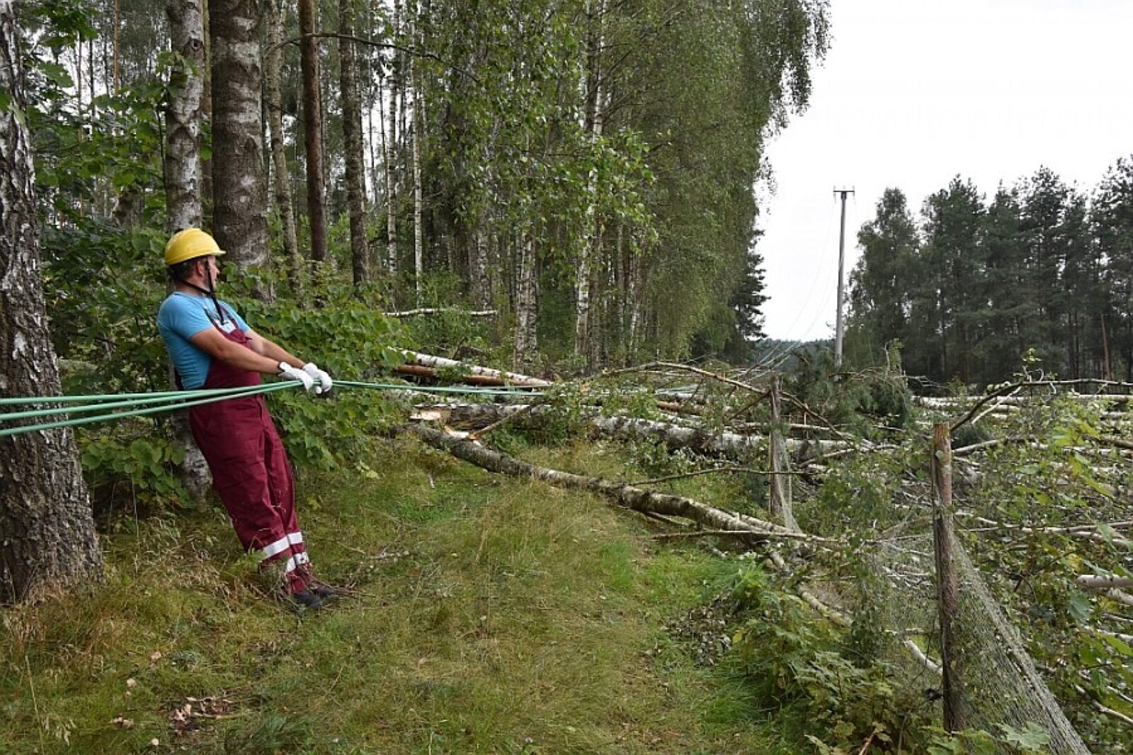 Dziemiany naprawa siec energa pl