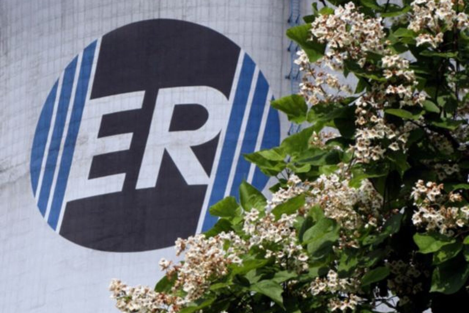 Elektrownia rybnik logo