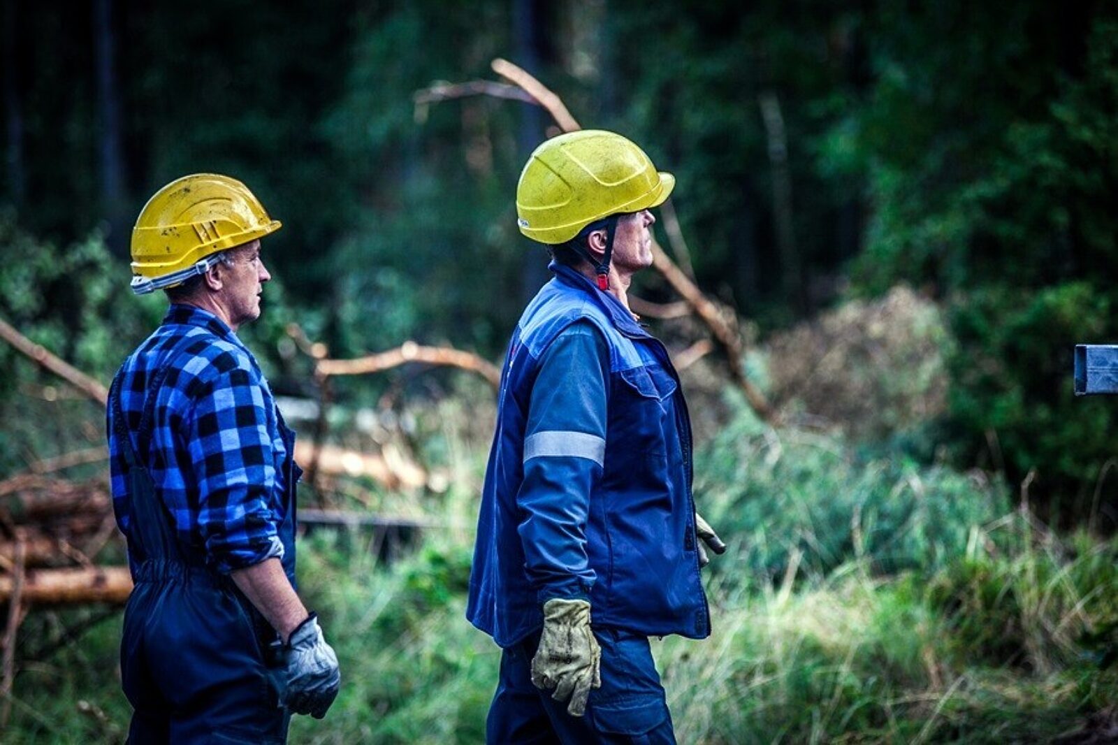 Enea operator przywraca zasilanie w rejonie chojnic i tucholi