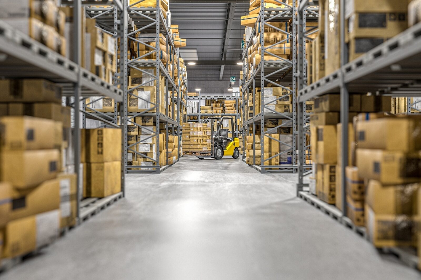 Fotodobrasiatkaglowne