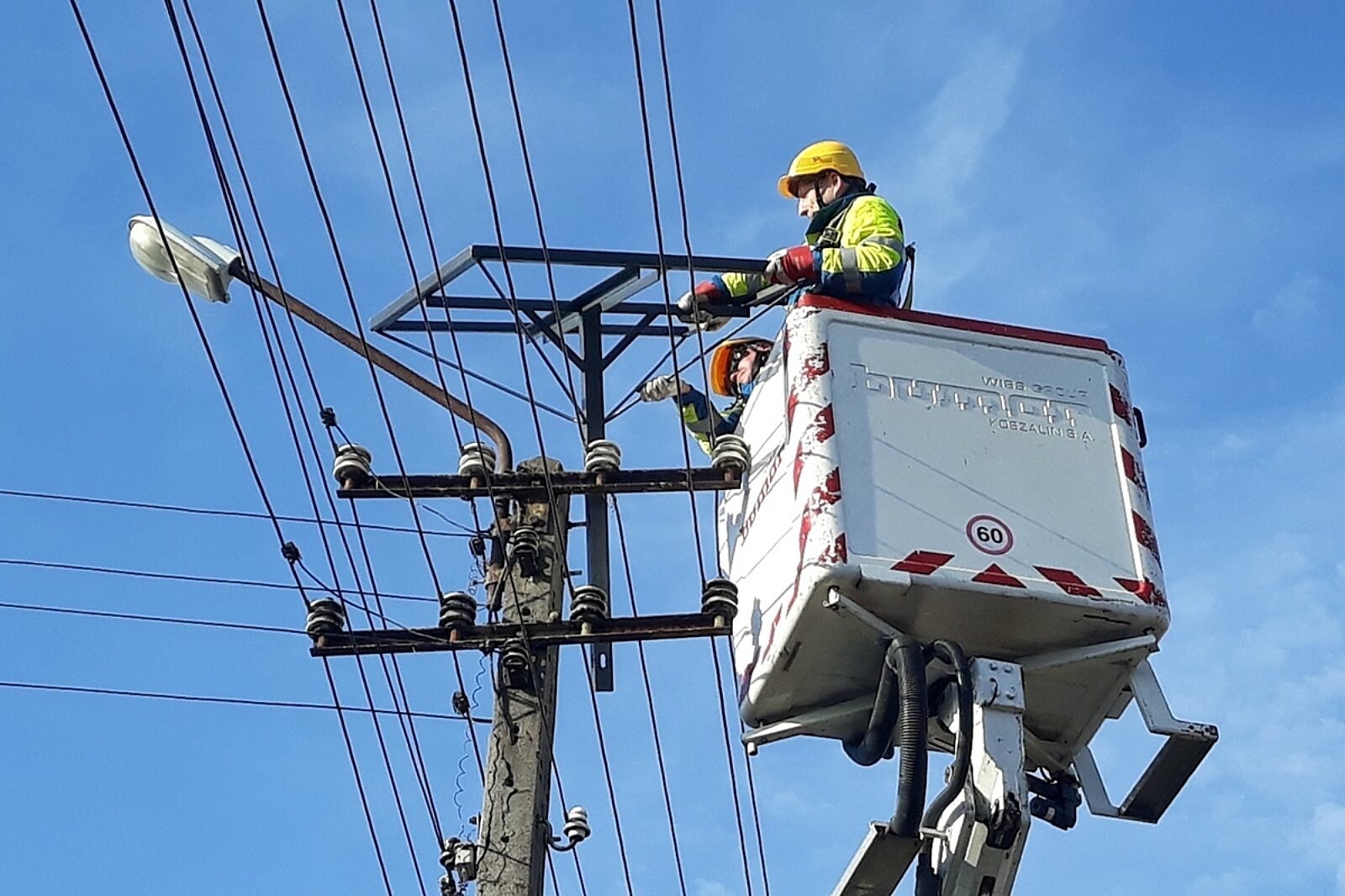 Gniazdo tauron dystrybucja