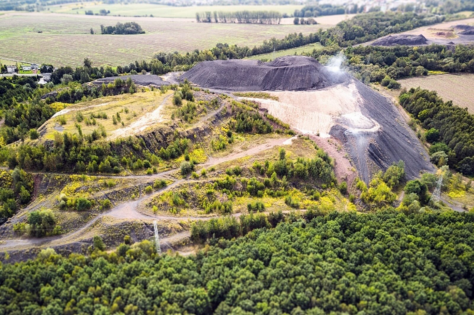 Halda wrzosy urzadmiasta