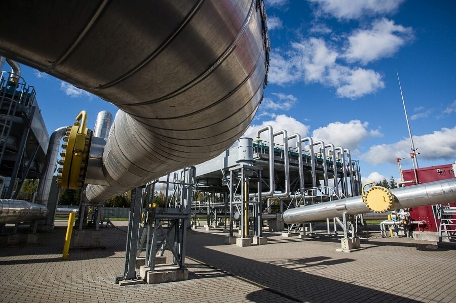 Jauniunas1 ambergrid