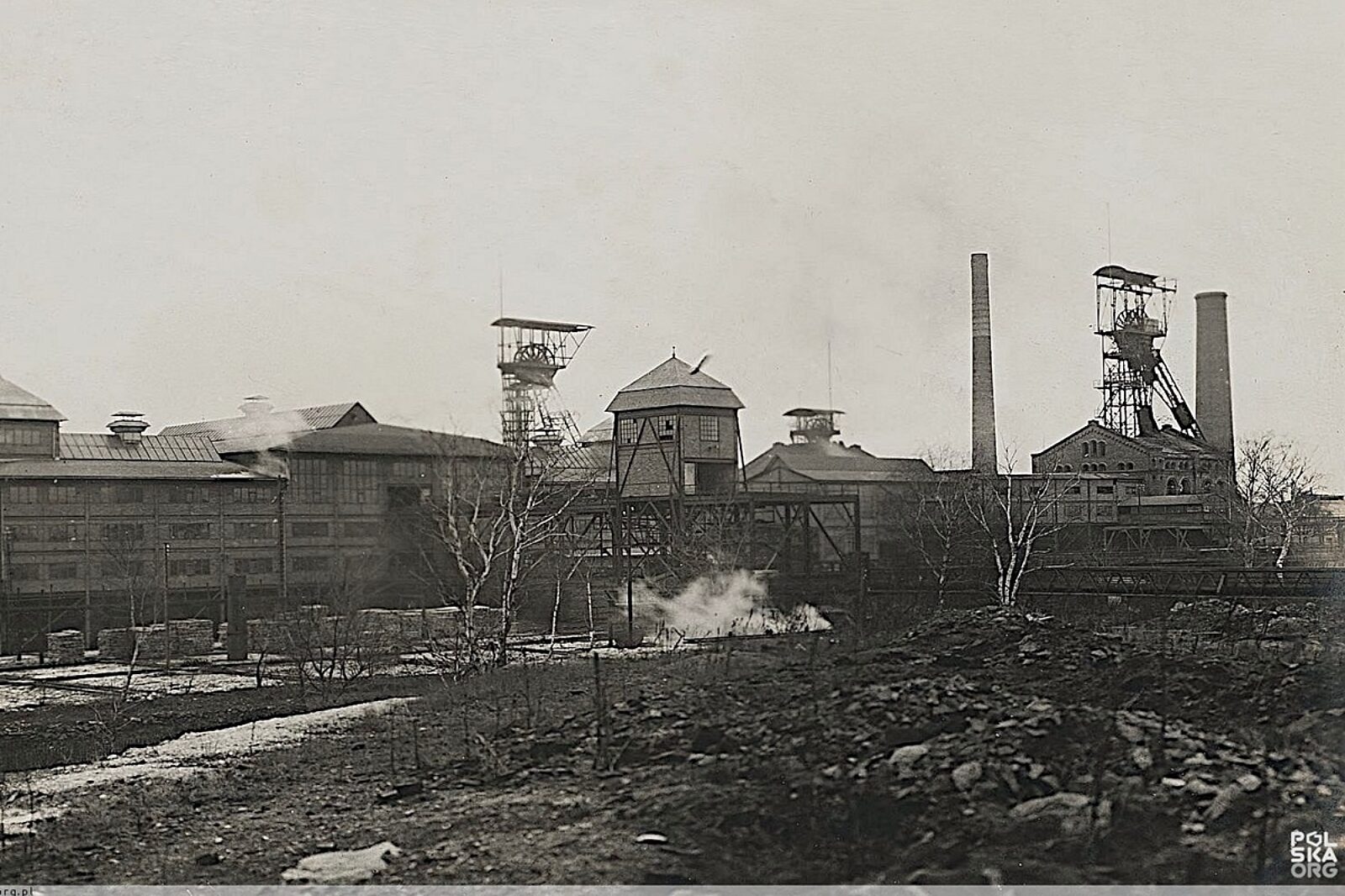 Kopalniamichal polskaorg