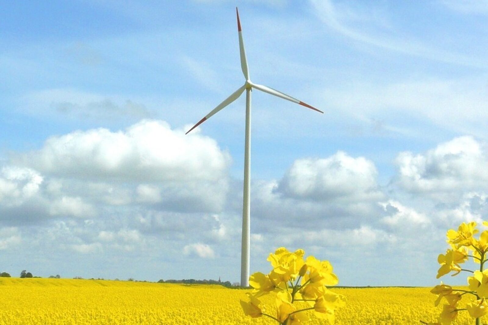 Mc tymien1 invenergylcc com