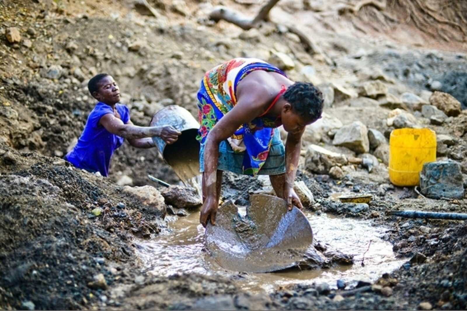 We wsi Cassoca wszyscy żyją z poszukiwania złota i sprzedaży owoców. Nie chcą tracić pewnego dochodu.
