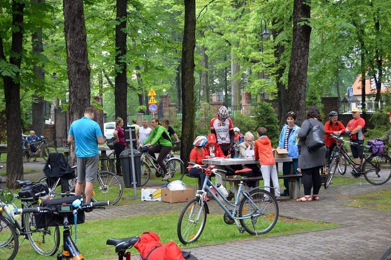 Nakolekolenikiszu9 arc