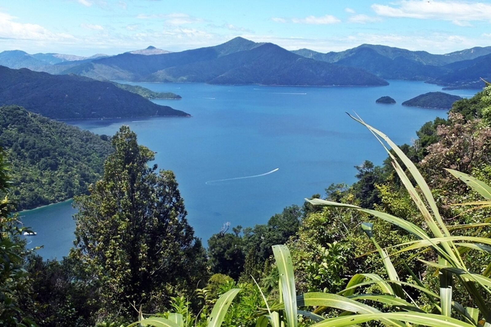 Nowa zelandia krajobraz ak