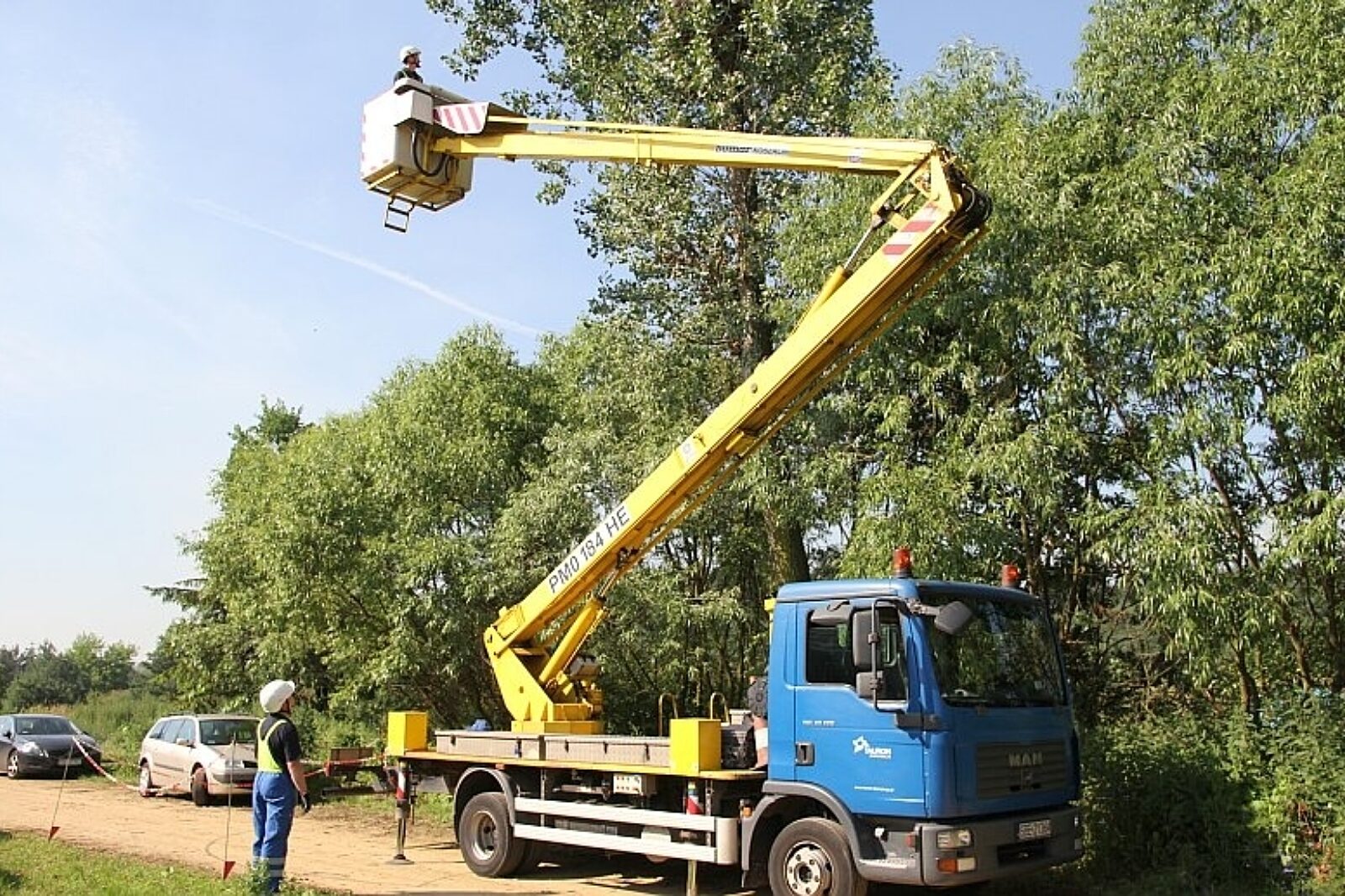 Obraczkowanie tauron dystrybucja