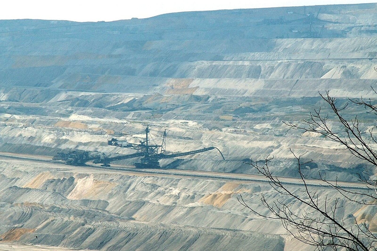 Odkrywka hambach wikipedia