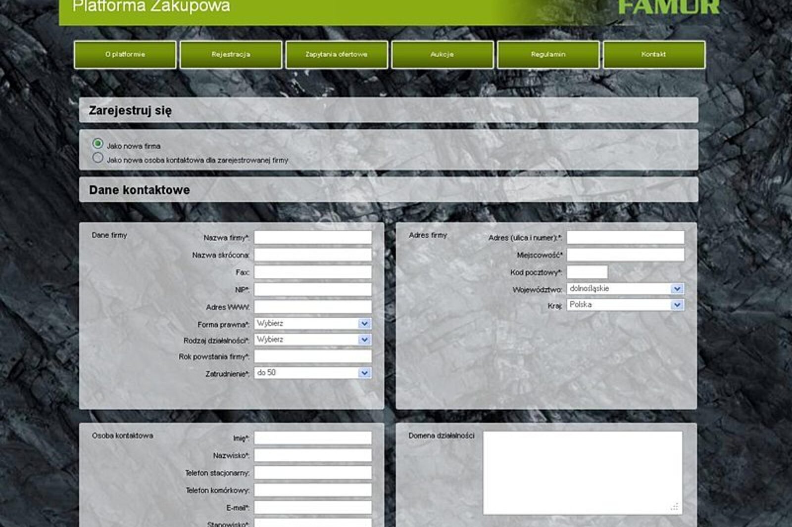 Platforma zakupowa famur famur