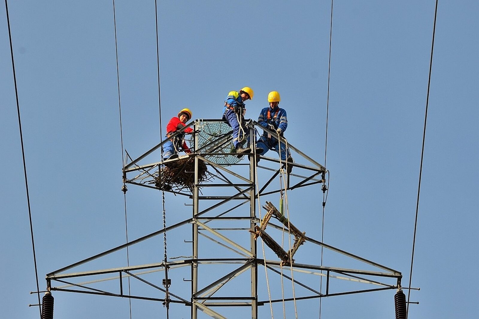 Platformy rybolowy enea