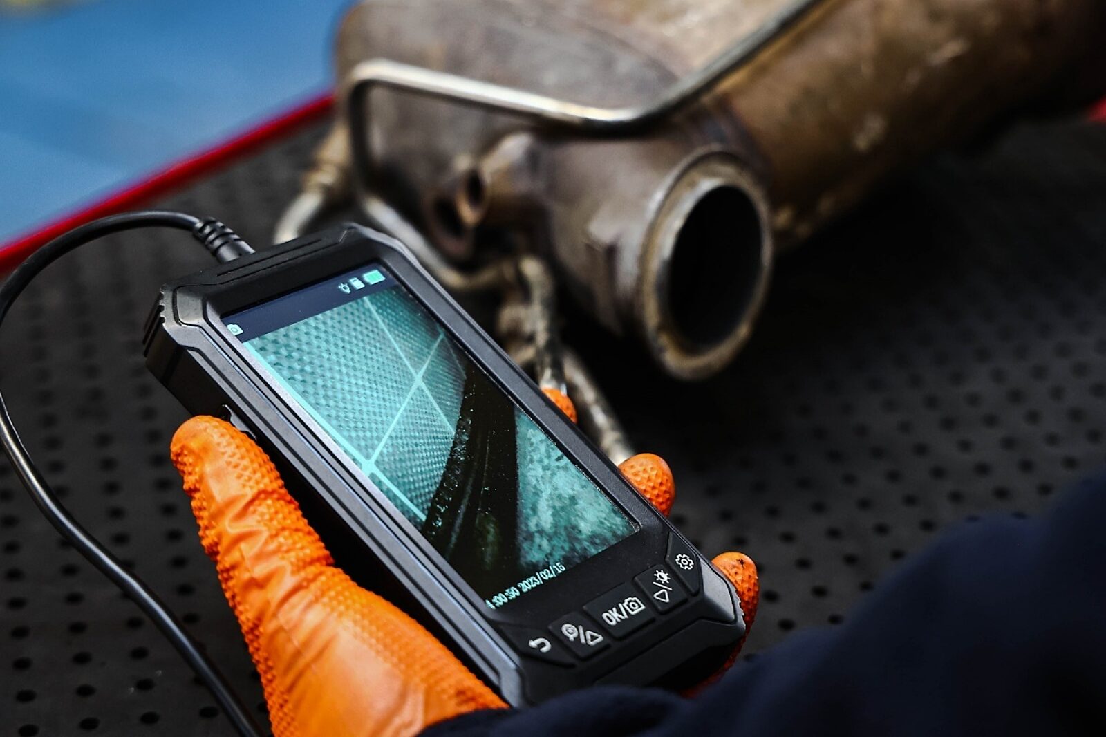 Regeneracjadpf9glowne