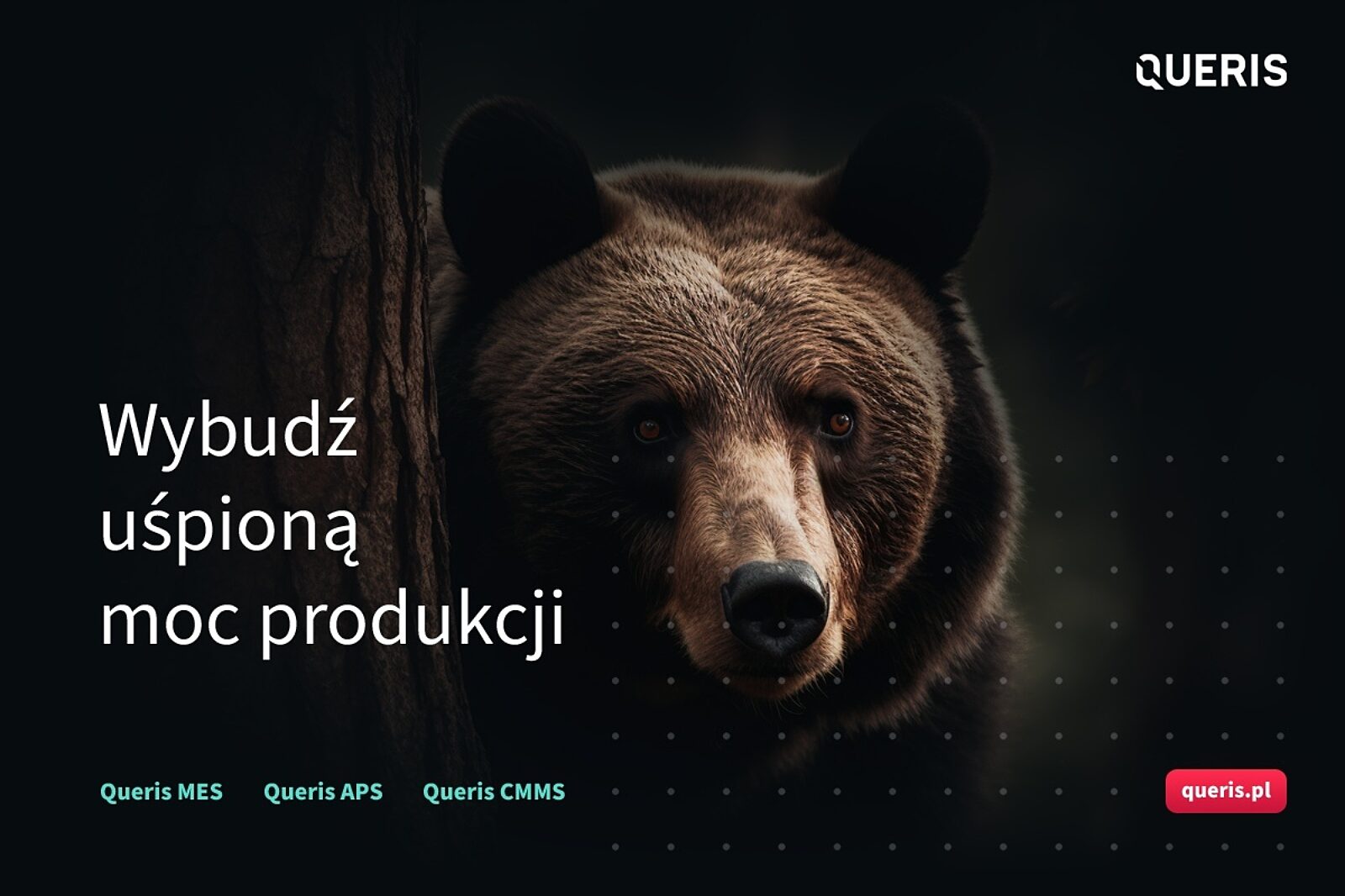 Reklama 1200x800 01b