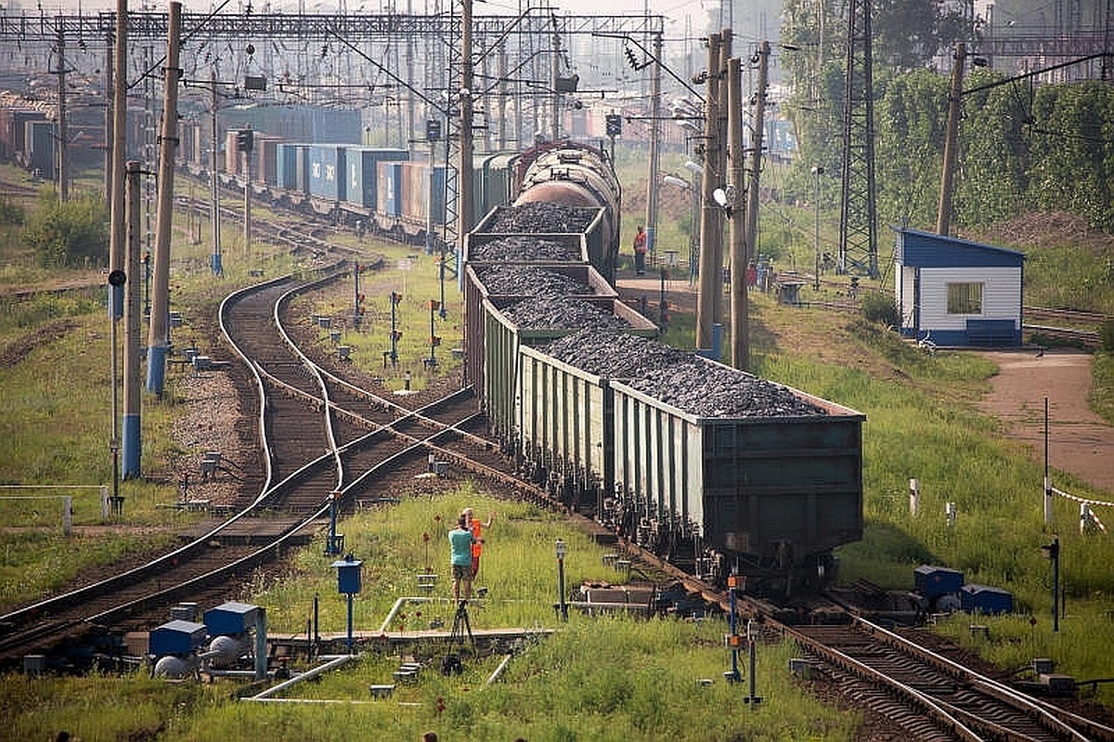 Rozdz tajszet bam rzd ru