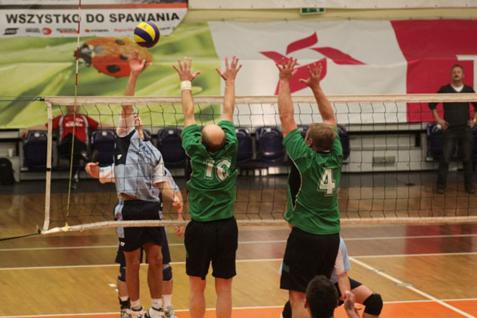 Siatkowka elgor hansen elgorhansen