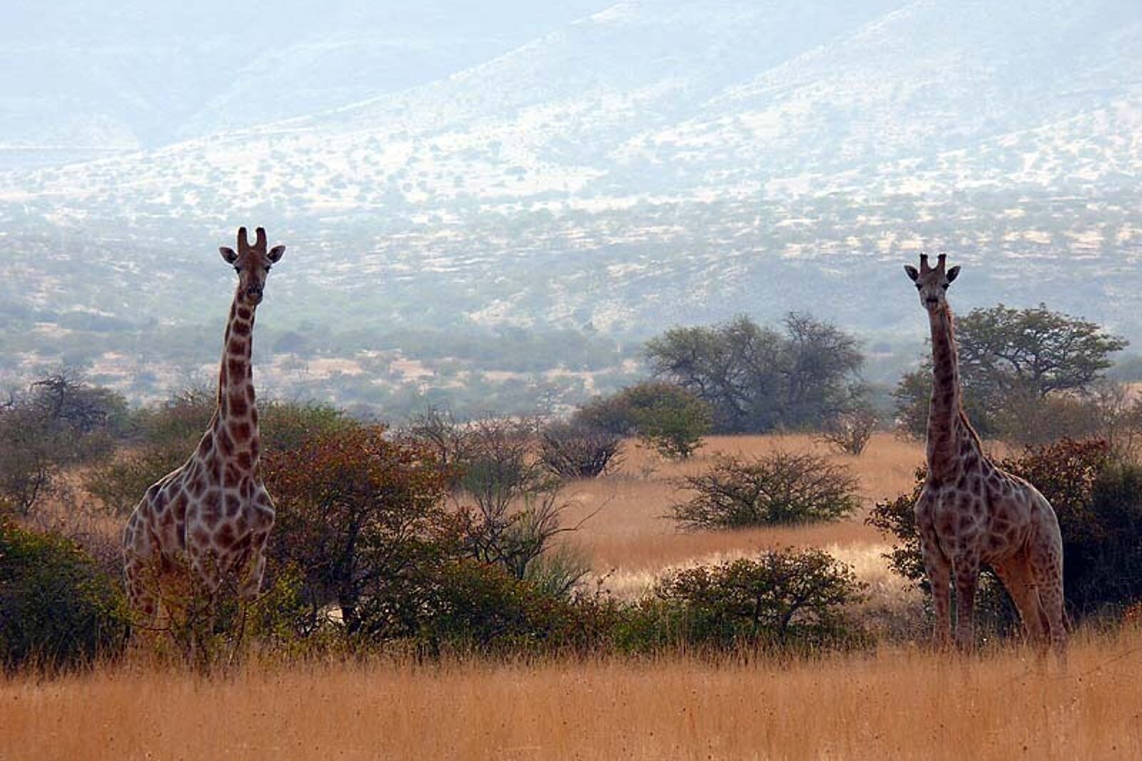 Skrzeczyna podroze 01 48