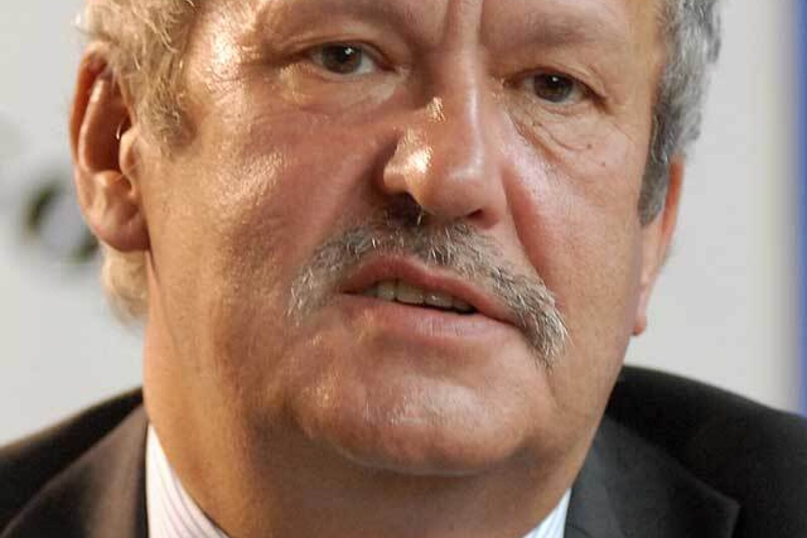 Steinhoff janusz GAL