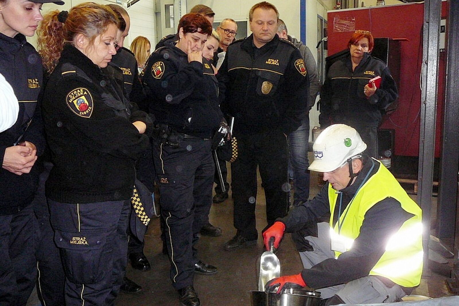 Straz miejska w ichpw ichpw