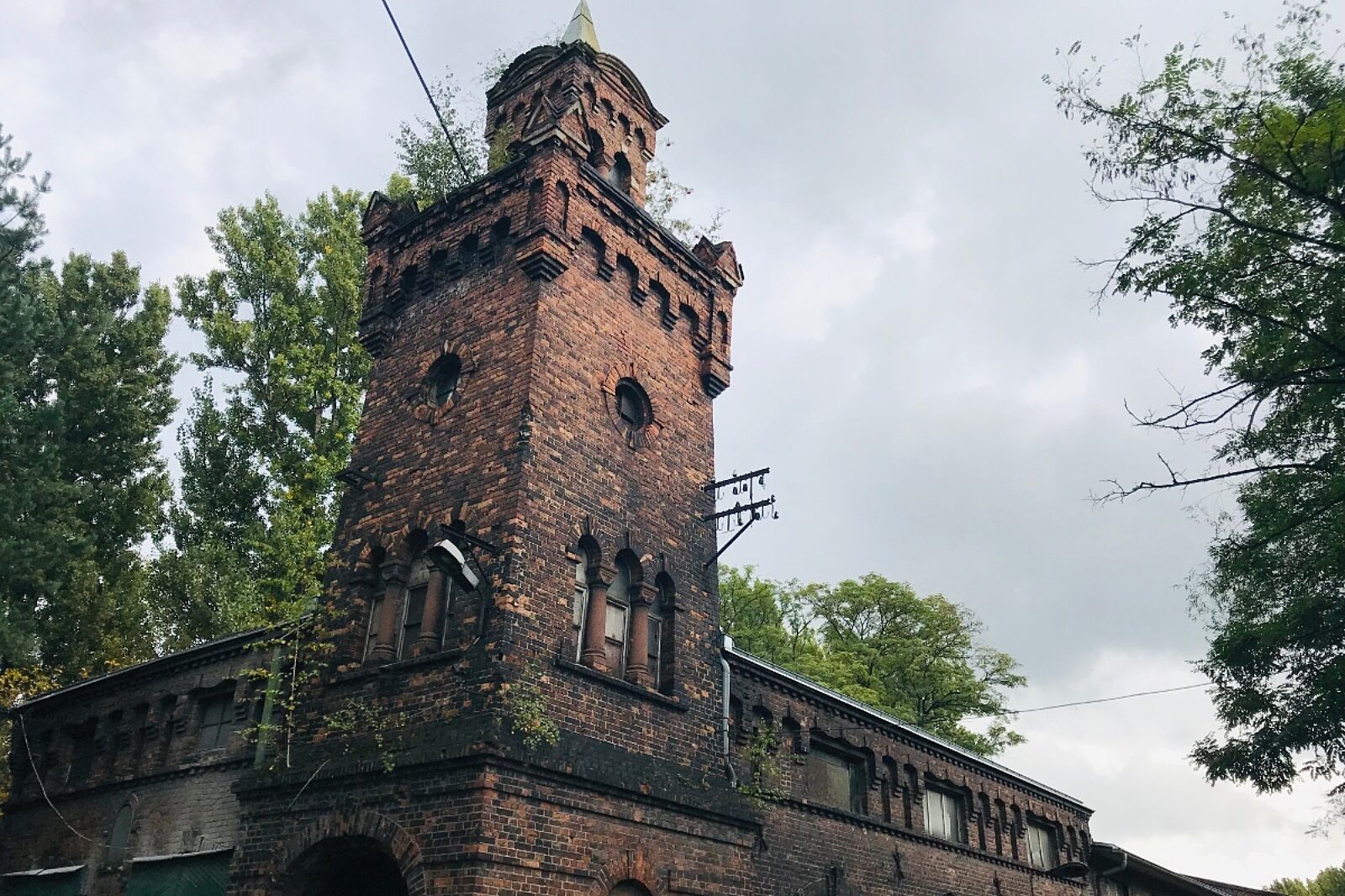 Szybfranciszek umrsl