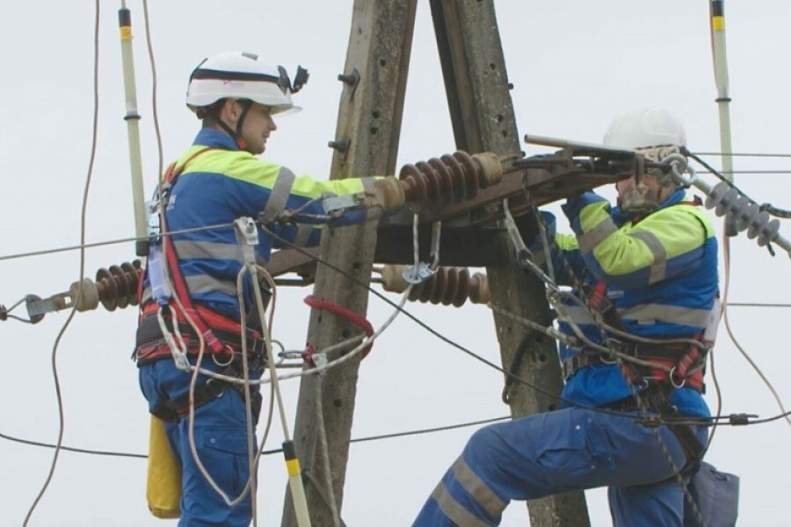 Tauron energetycy 3 1