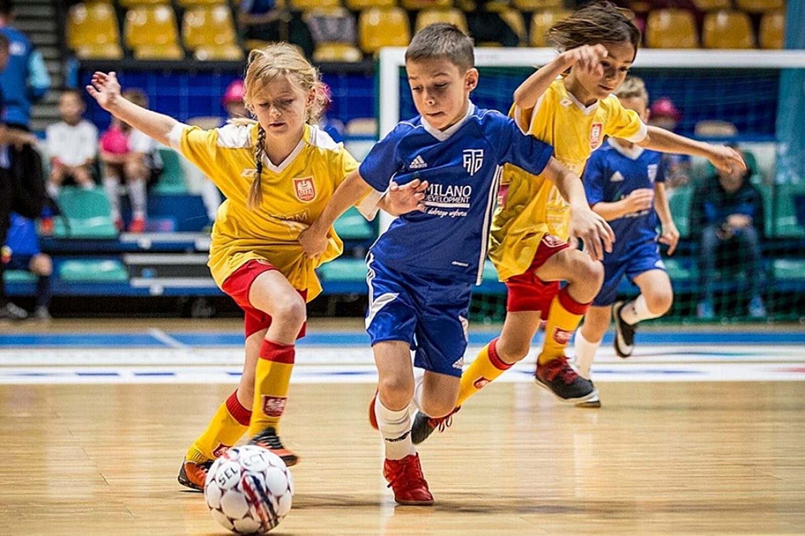 Tauronenergetycznyjuniorcup astashowstudio