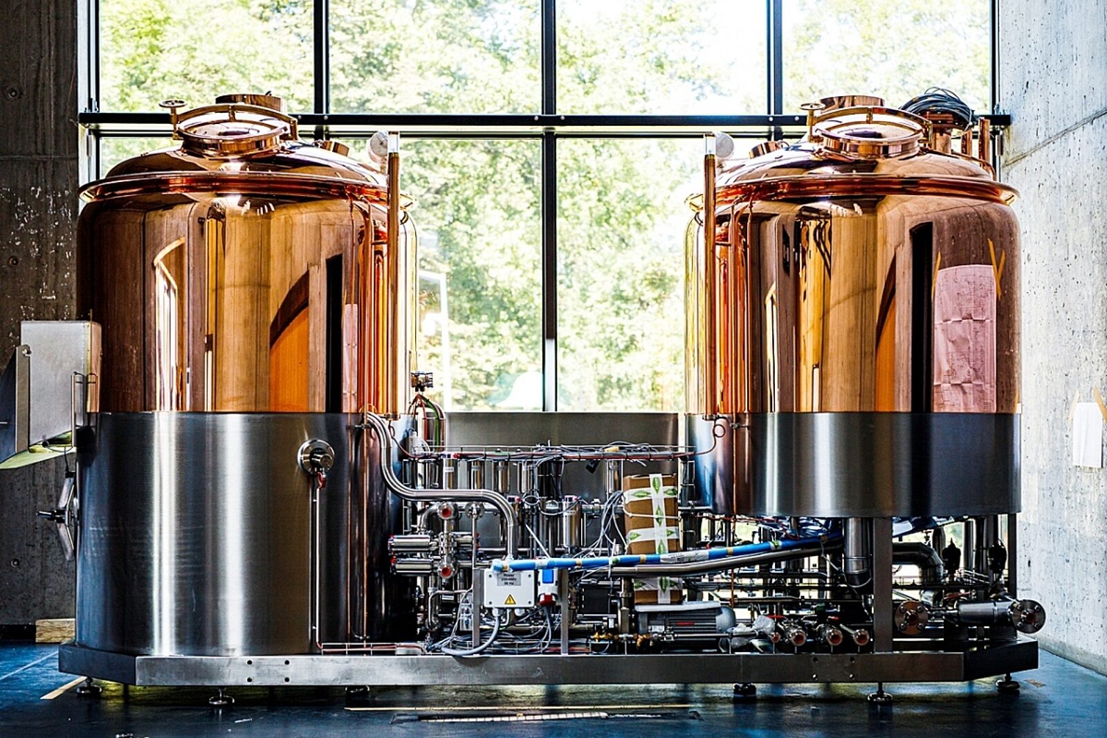 Warzelniabghpiwofotmateuszwojtow