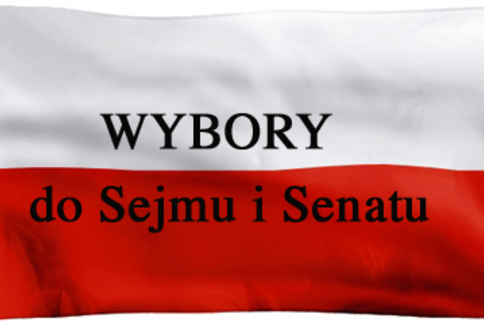 Wybory flaga
