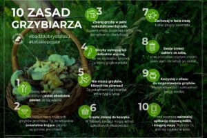 10 zasad grzybpx
