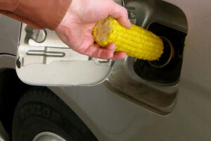 Leifert crop blogs nature com