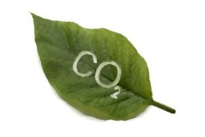 CO2 3