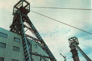 Bobrek centrum kwsa pl