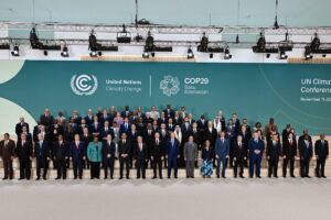 Cop29a