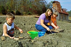 Crater of diamonds com