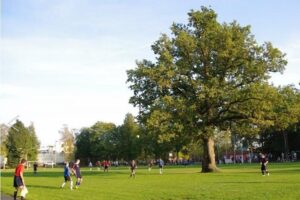 Dab na boisku estonia elina kalm