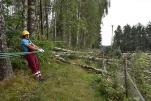 Dziemiany naprawa siec energa pl