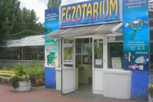 Egzotarium um sosnowiec